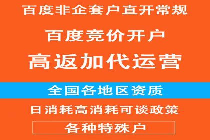 百度推广代运营案例：行业领先企业的成功之道